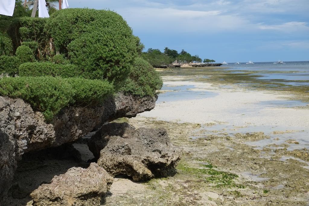Dive Thru Resort Panglao Kültér fotó